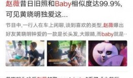 妞妞大事件爆料视频,揭秘幕后真相，视频爆料引发热议