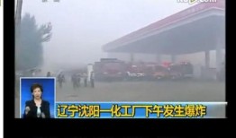 沈阳化工厂爆料最新消息,事故详情与影响揭秘