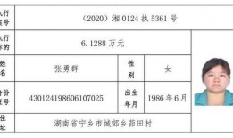 宁乡新闻爆料网站最新,聚焦最新爆料，揭示社会热点动态