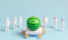 吃瓜太九最新吃瓜爆料汇总,娱乐圈风云再起，揭秘明星幕后真相