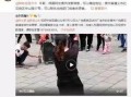 刘文野最新爆料视频全集,揭秘背后惊人真相