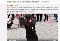 刘文野最新爆料视频全集,揭秘背后惊人真相
