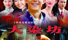 大染坊2全集在线观看,揭秘民国染厂风云再起！