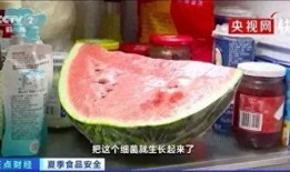 郑州网红吃瓜事件,一场网络舆论的风暴与反思