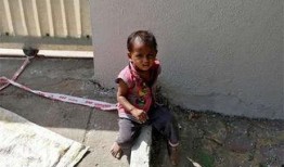 石头爆料父母视频,揭秘父母温馨瞬间，家庭幸福瞬间呈现