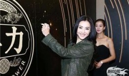 嘎纳夫妻爆料视频大全集,揭秘娱乐圈背后的真相与秘密