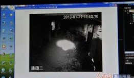 琼海视频爆料,揭秘事件背后惊人真相