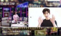 杨洋爆料八卦视频播放,揭秘娱乐圈不为人知的幕后故事