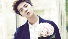 娱乐圈爆料君鹿晗,娱乐圈爆料君揭秘明星幕后故事