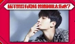 杨洋爆料八卦视频播放,揭秘娱乐圈不为人知的幕后故事