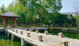 安徽龙湖公园爆料视频,揭秘公园美景与神秘事件