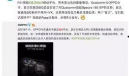 打假内鬼爆料视频,揭秘行业黑幕与真相