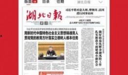 湖北新闻热点爆料视频,揭秘最新爆料视频背后的真相