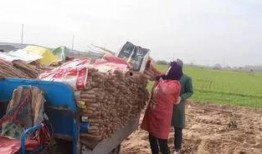 丰县最新爆料信息网,揭秘事件背后真相