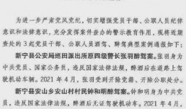 太阳哥酒驾被爆料视频,真相与反思