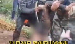 多人爆料溺亡视频,揭秘溺亡视频背后的真相与警示