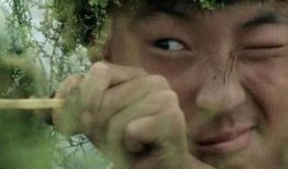 不许动电影在线观看,揭秘不许动电影背后的故事