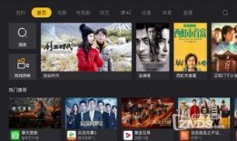 电视卫视直播在线观看,尽享精彩瞬间