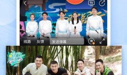 手机免费电视在线观看,手机端电视在线观看新体验