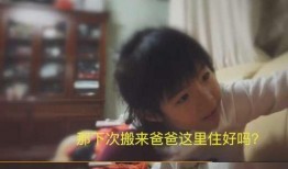 安琪妈妈爆料视频大全最新,揭秘幕后真相，带你走进真实世界