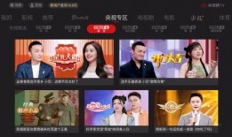 电视卫视直播在线观看,尽享精彩瞬间