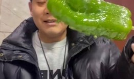 网红陈佩奇吃瓜视频下载,揭秘网红幕后生活