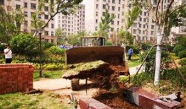 阳光雅苑水井爆料视频大全,揭秘社区生活点滴