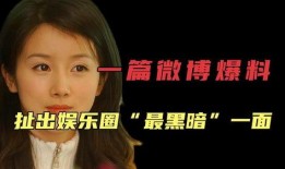 娱乐圈的黑暗爆料,揭秘明星背后的真相