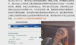 明星热搜爆料视频大全集,视频大全集深度解析