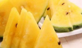 黑瓜吃料网站免费最新,免费获取最新资讯，畅享信息盛宴