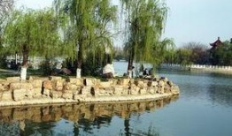 安徽龙湖公园爆料视频,揭秘公园美景与神秘事件