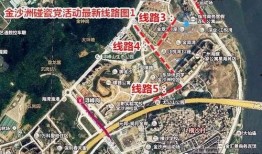 金沙洲爆料新闻,揭秘事件背后真相