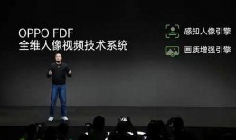 业内人士爆料王诗晴视频,业内揭秘背后真相