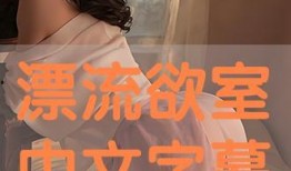 漂流欲室在线观看,揭秘漂流欲室在线观看的奇幻之旅