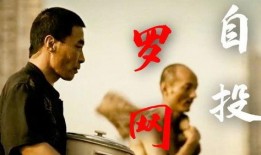 自投罗网电影在线观看,惊心动魄的逃亡之旅