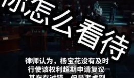 湖北新闻热点爆料视频,揭秘最新爆料视频背后的真相
