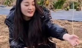 张玲玲邻居爆料视频,张玲玲家中惊人一幕，视频内容引发热议