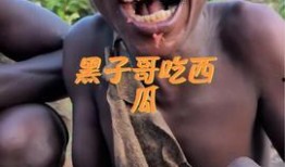 非洲网红吃瓜事件视频大全,视频大全揭秘网络热点的背后