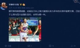 日本知情人士爆料视频,独家视频揭秘内幕