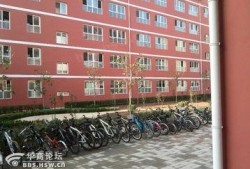 新福园中学最新爆料事件