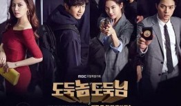 小偷家伙小偷大人在线观看,在线观看揭秘盗贼世界