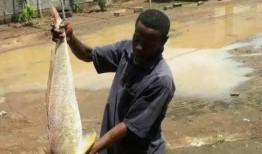 钓鱼小黑爆料视频,揭秘钓鱼技巧与心得