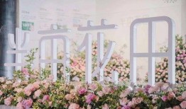 爆料半亩花田视频大全,揭秘美丽秘诀，美丽生活从此开始