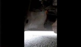 深圳网友小玲爆料视频播放,视频内容引发热议