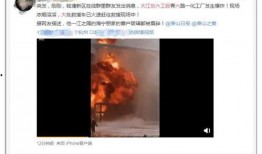 何珊珊被爆料视频在线观看,揭秘事件背后真相