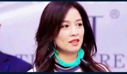 明星热搜爆料视频大全集,视频大全集深度解析