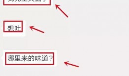 金沙洲爆料新闻,揭秘事件背后真相