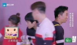 刘晨爆料完整视频在线观看,揭秘事件真相，带你直击现场