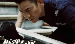 拆单专家在线观看,揭秘高效订单处理秘诀