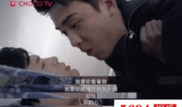 着魔在线观看电视剧,迷影重重，揭秘网络迷踪